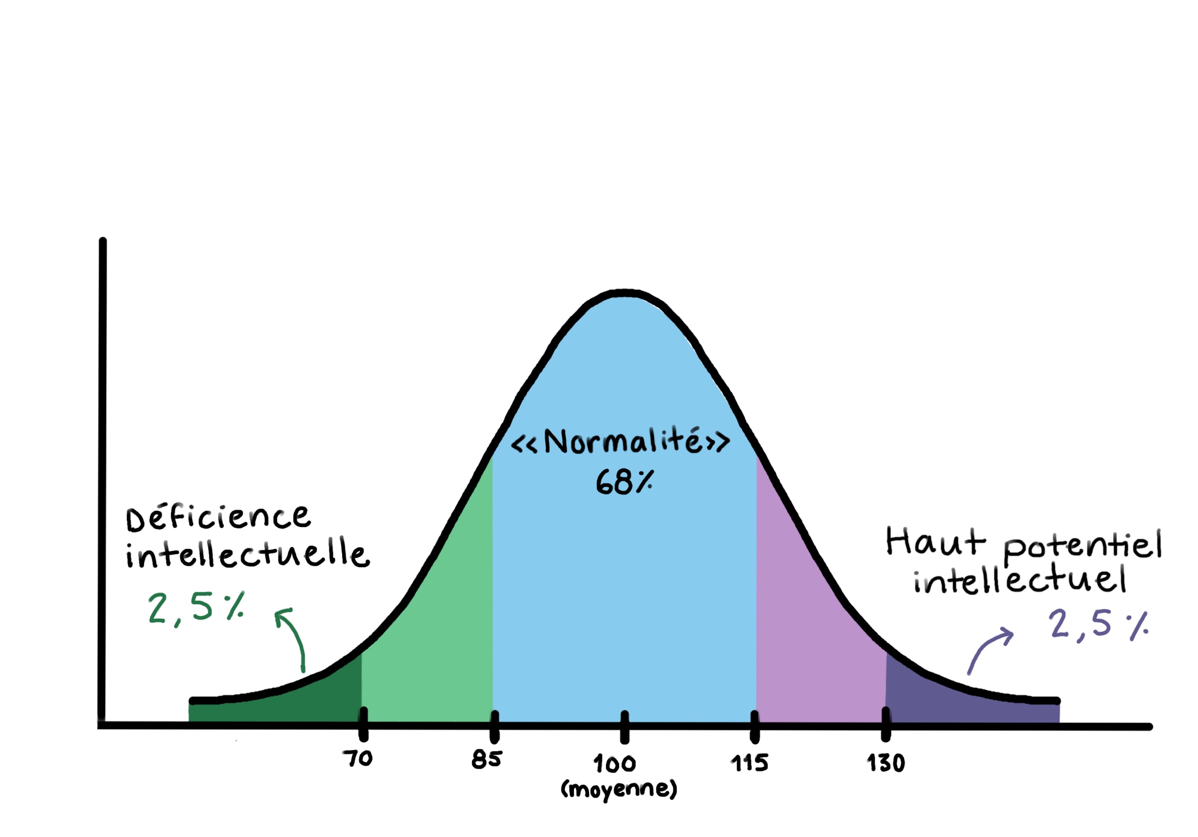 Lire la suite à propos de l’article Le Quotient Intellectuel (QI)